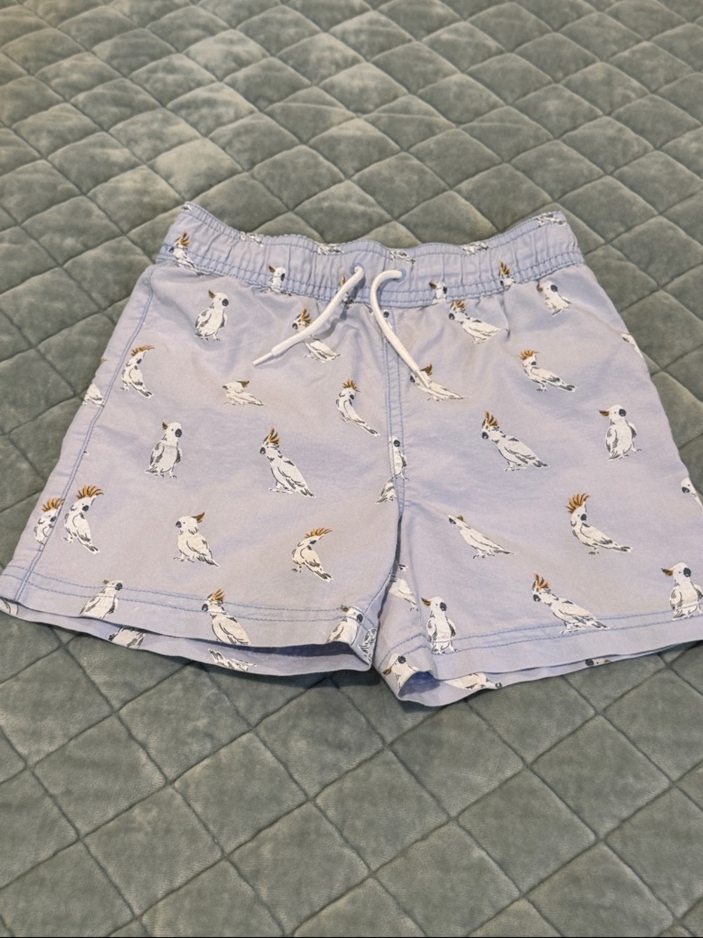 Janie and Jack boys swim trunks size 5